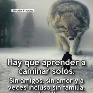 Meet your Posher, Jeronimo